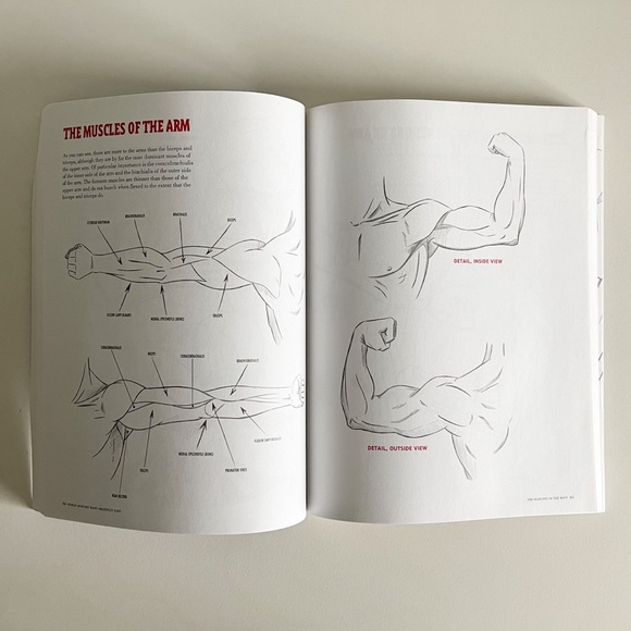 Human Anatomy Made Amazingly Easy - Paperback By Hart, Christopher - Picture 6 of 8